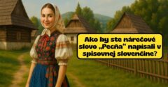 Ako by ste nárečové slová napísali v spisovnej slovenčine? #1