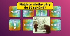 Pexeso dňa so zimnou tematikou. #1 Nájdete všetky páry do 30 sekúnd?