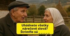 Otestujte sa v nárečiach: Viete, čo znamenajú slová fertucha, frištuk či šerbel?