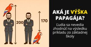 Aká je výška papagája? Ľudia sa nevedia zhodnúť na výsledku príkladu zo základnej školy